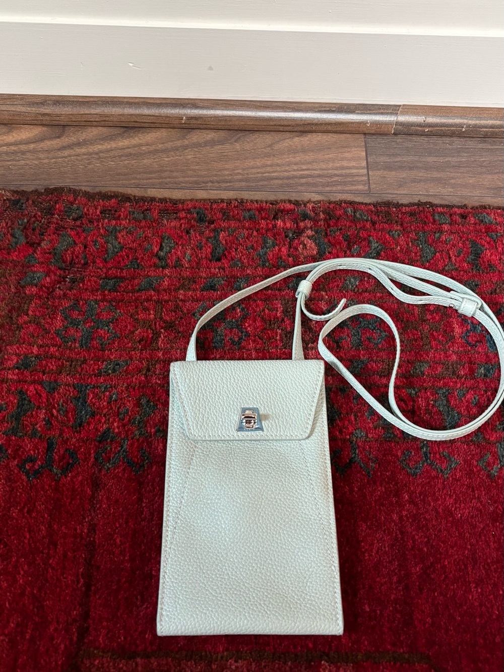 Akris Anouk Leather Crossbody Phone Bag in Light Mint